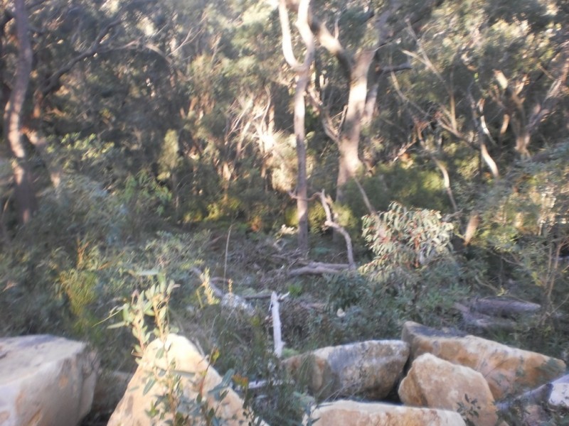 26 and 28 The Parkway, Mallabula NSW 2319