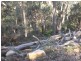 26 and 28 The Parkway, Mallabula NSW 2319