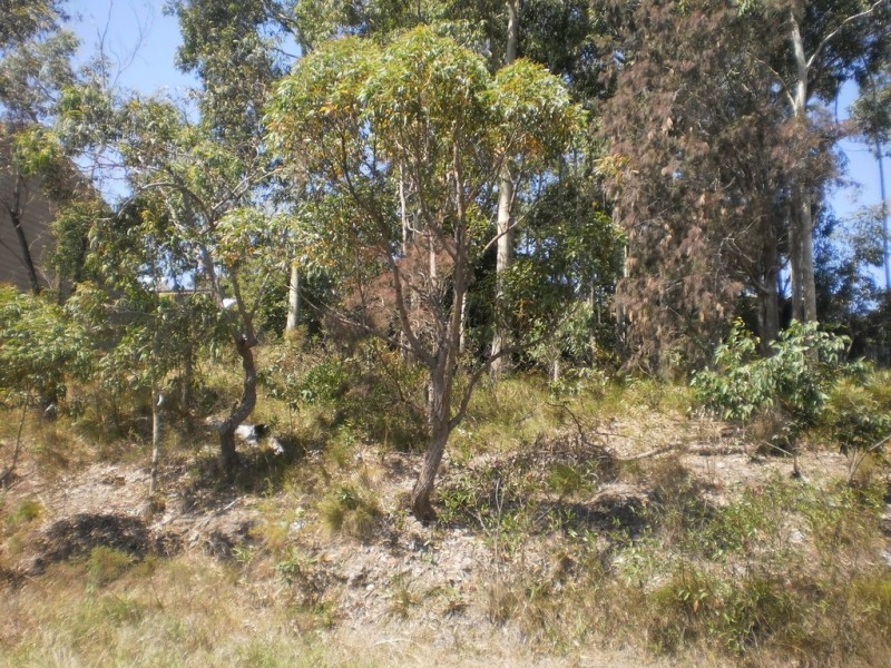 30 Raiss Close, Lemon Tree Passage NSW 2319