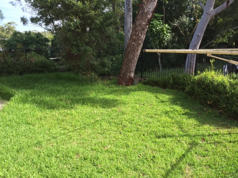 11 Blanch Street, Lemon Tree Passage NSW 2319