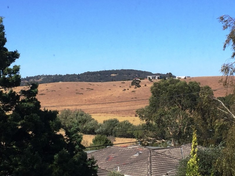 26 Blucher Street, Ferntree Gully VIC 3156