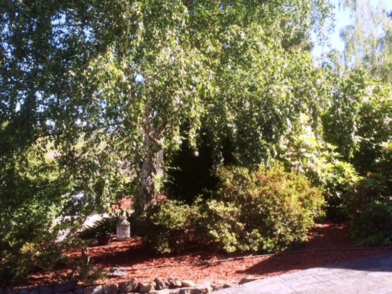 26 Blucher Street, Ferntree Gully VIC 3156