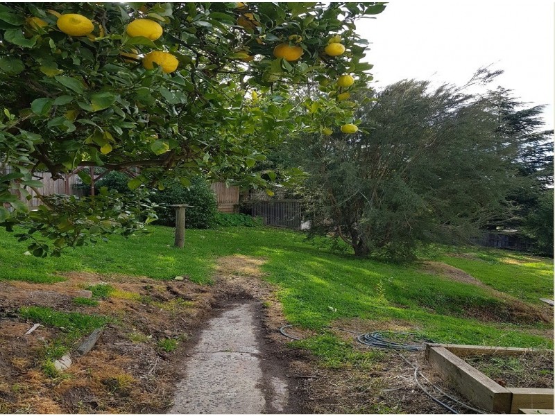 38 Alma Avenue, Ferntree Gully VIC 3156