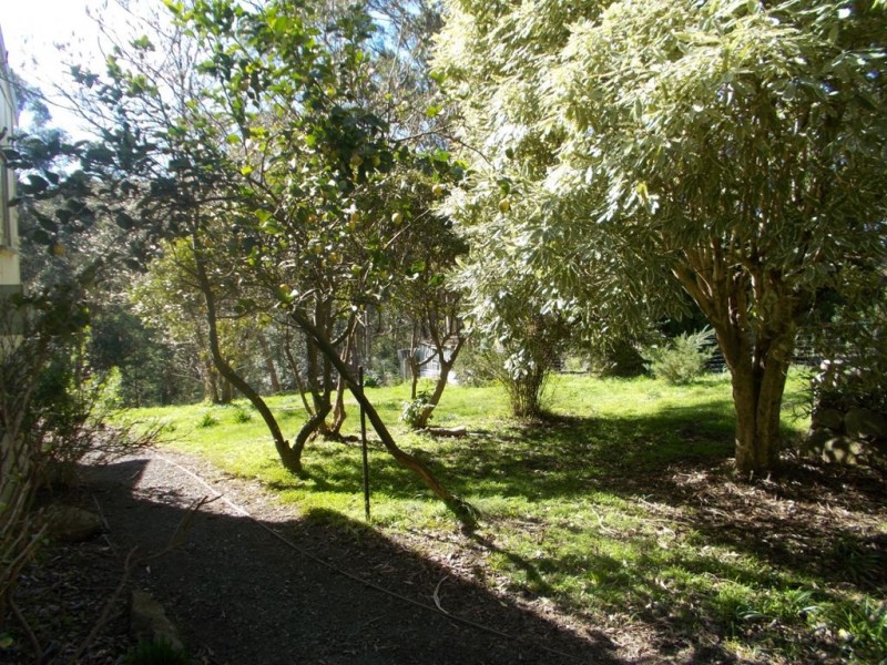 31 Menzies Road, Menzies Creek VIC 3159