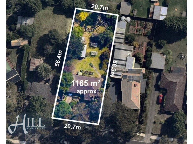3 Grevillea Avenue, Boronia VIC 3155