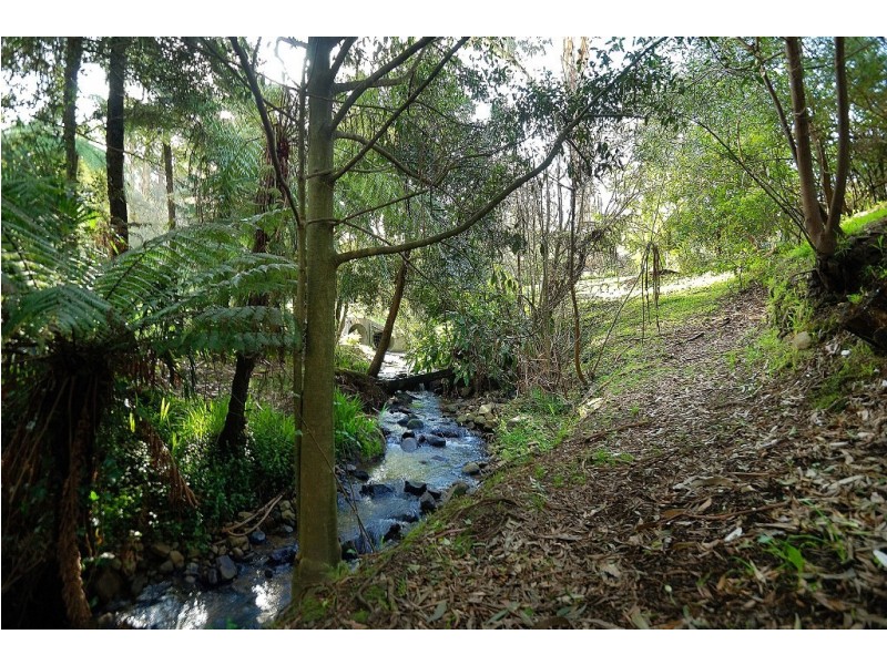 10 Olive Grove, Tecoma VIC 3160