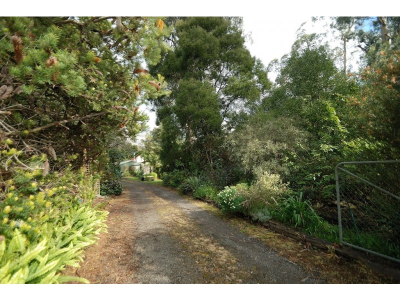 10 Olive Grove, Tecoma VIC 3160