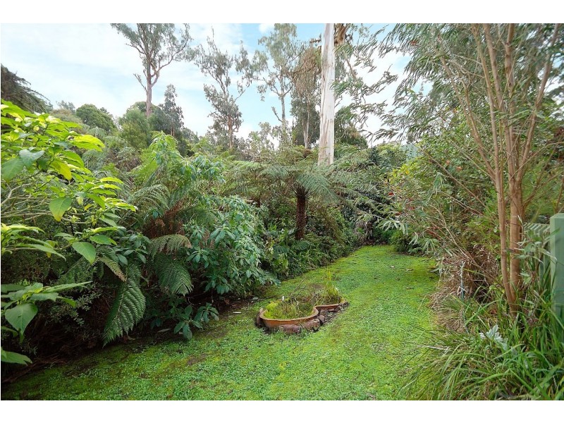 10 Olive Grove, Tecoma VIC 3160