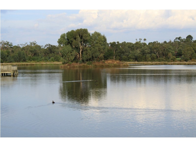 77 Applewood Drive, Knoxfield VIC 3180