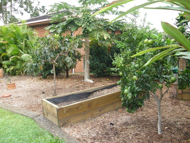 87 Pullen Road, Everton Park QLD 4053