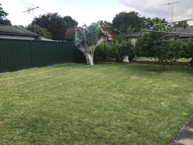 26 Francis Street, Richmond NSW 2753