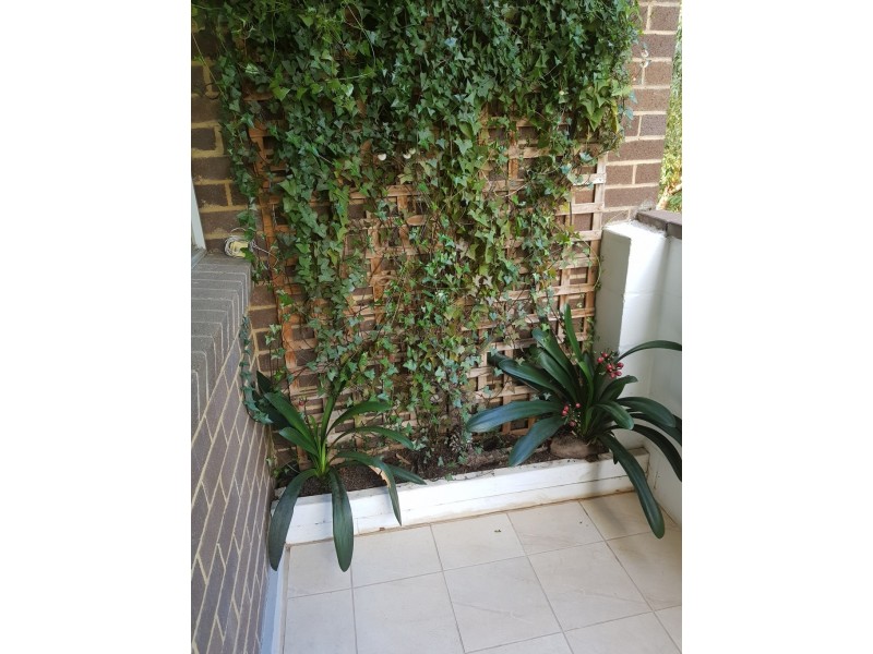 29/147 March Street, Richmond NSW 2753