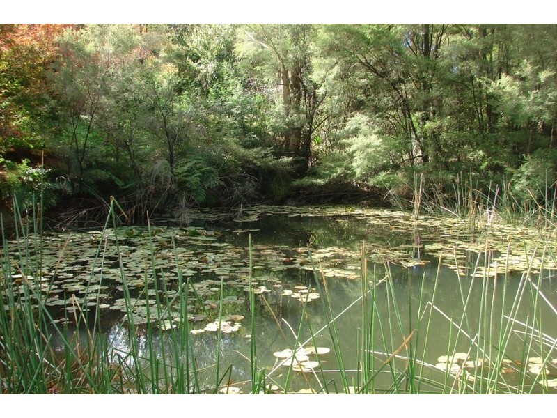 2967 Bells Line of Rd, Bilpin NSW 2758