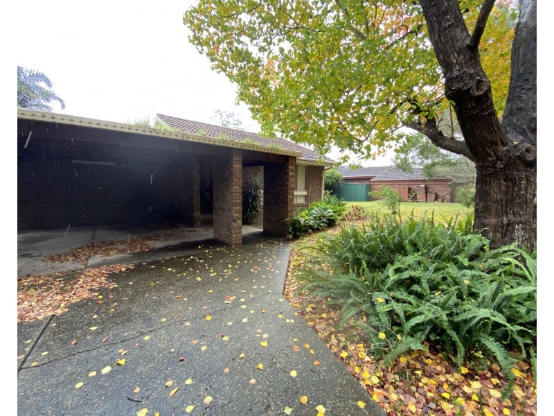 19 Partridge Ave, Castle Hill NSW 2154