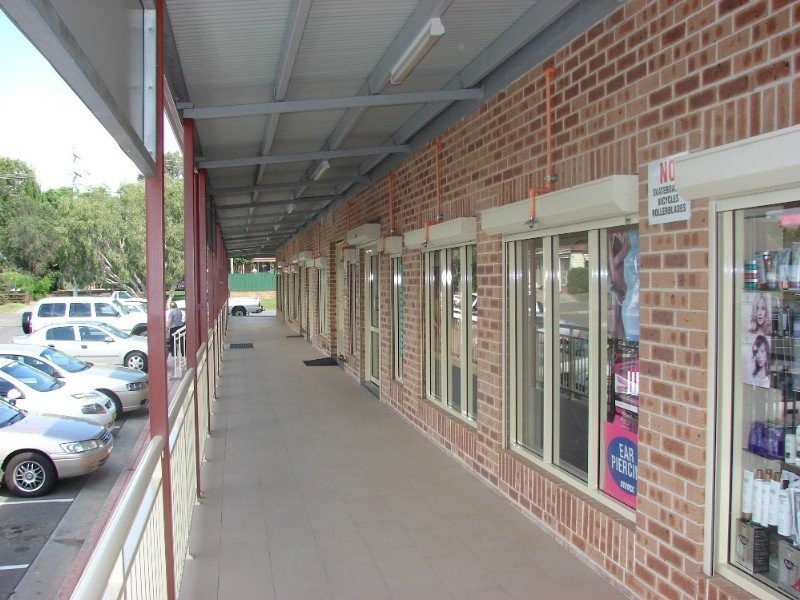 24 Riverview St, North Richmond NSW 2754