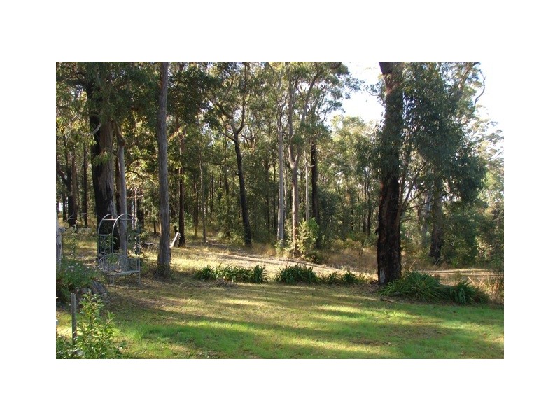 100 Wheelbarrow Ridge Road, Colo Heights NSW 2756