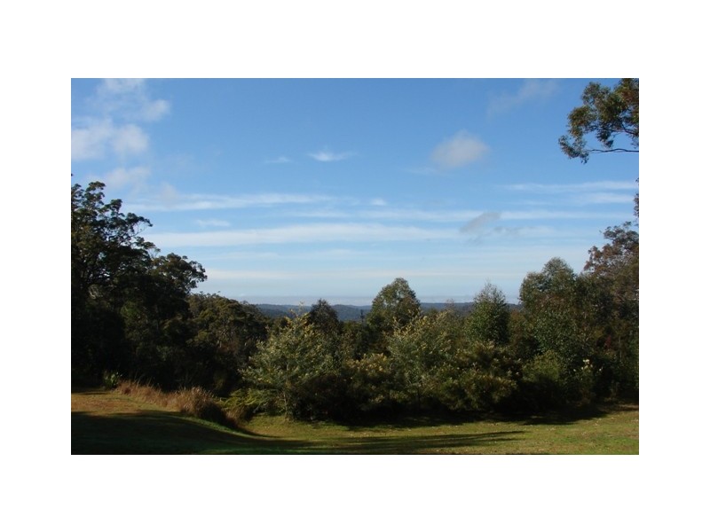 100 Wheelbarrow Ridge Road, Colo Heights NSW 2756