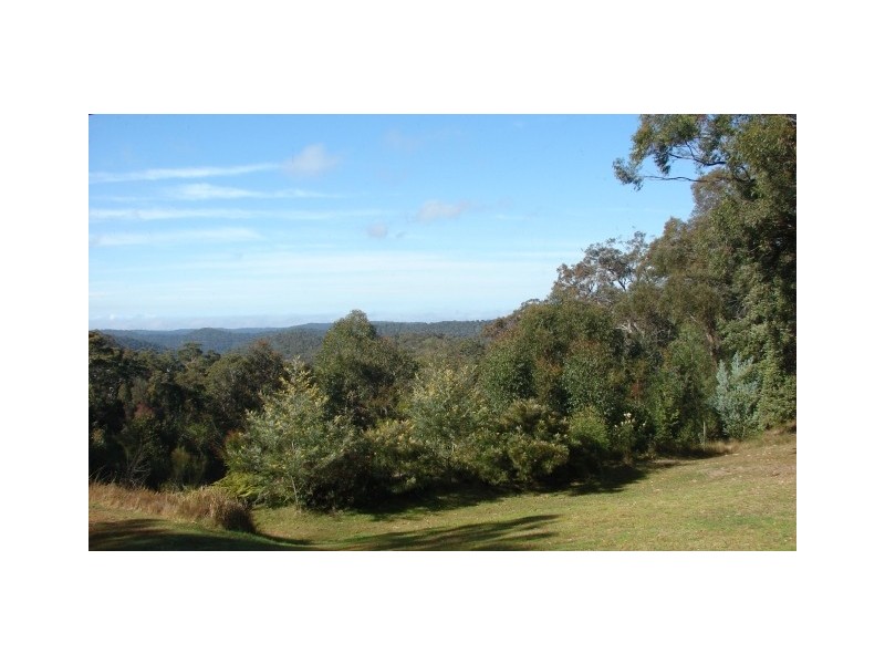 100 Wheelbarrow Ridge Road, Colo Heights NSW 2756