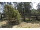 Londonderry NSW 2753