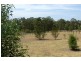 Yarramundi NSW 2753