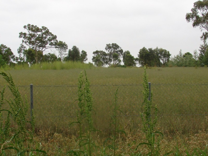 99 Mayo Road, Llandilo NSW 2747