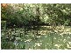2967 Bells Line of Rd, Bilpin NSW 2758