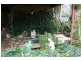 Grose Wold NSW 2753