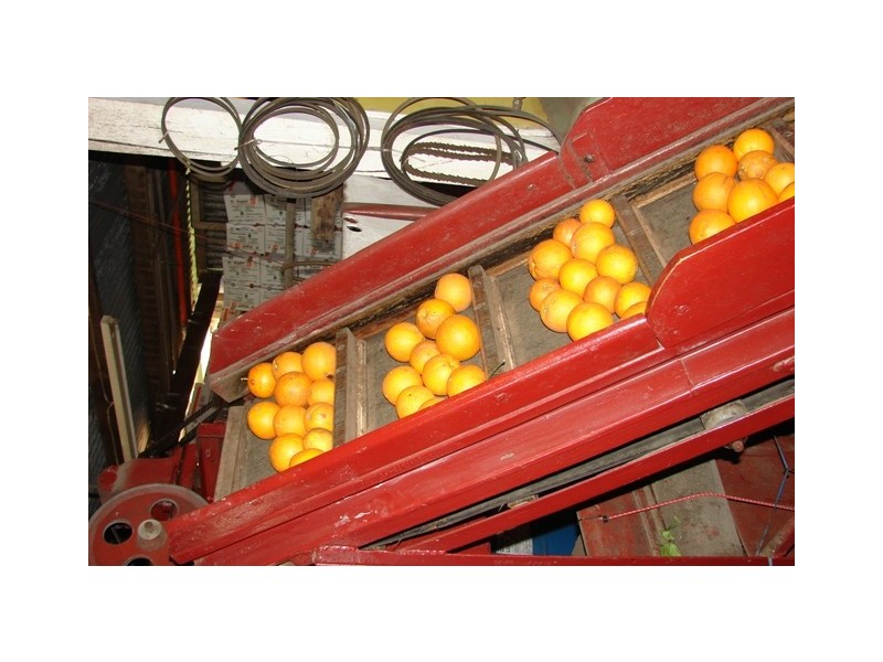 73 Cordners Lane, Cornwallis NSW 2756