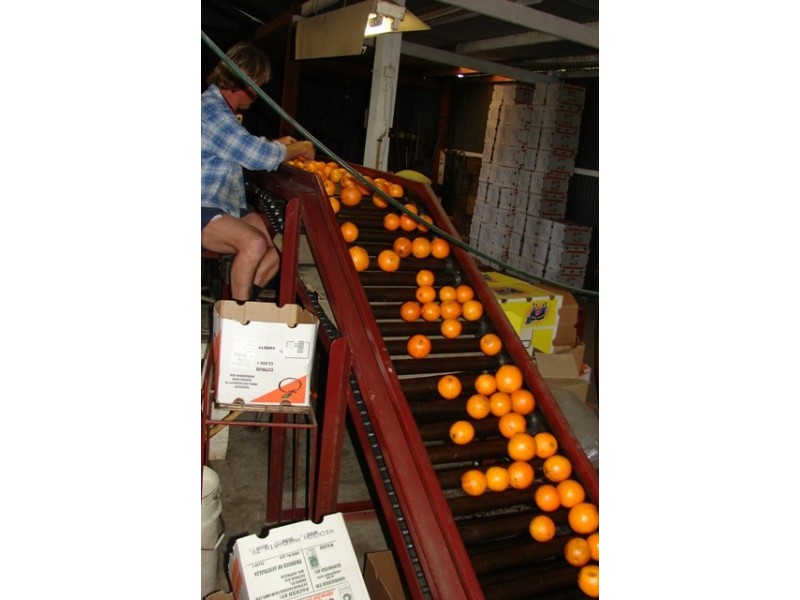 73 Cordners Lane, Cornwallis NSW 2756