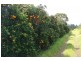 73 Cordners Lane, Cornwallis NSW 2756