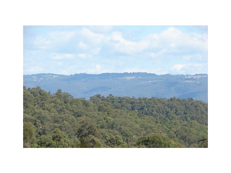 541 Blaxland Ridge Road, Blaxlands Ridge NSW 2758