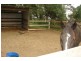Clarendon NSW 2756