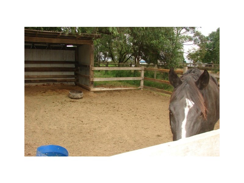 Clarendon NSW 2756