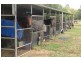 Clarendon NSW 2756