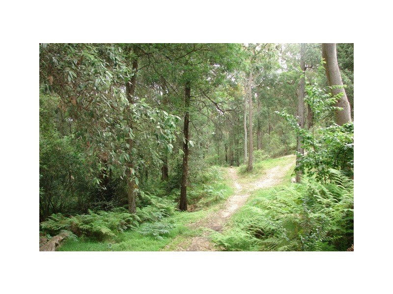 158 Lieutenant Bowen Road, Bowen Mountain NSW 2753