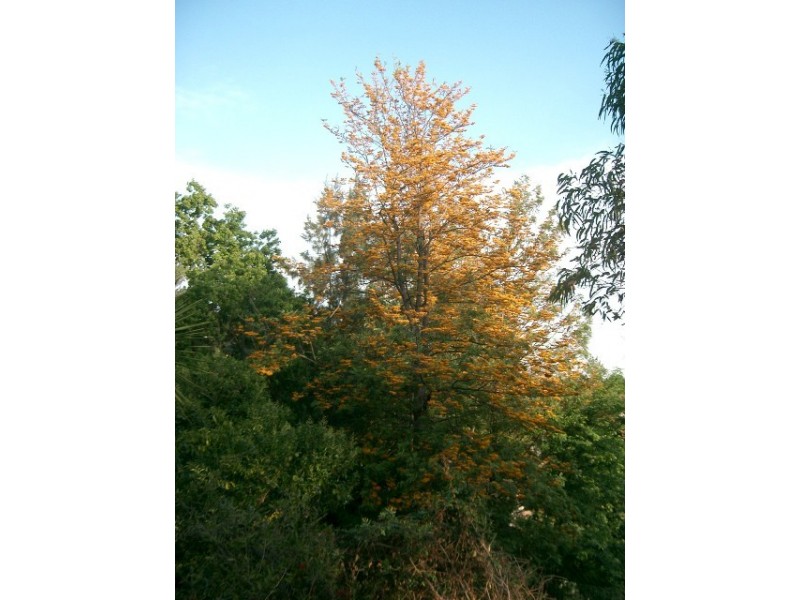 92 Keda Cct, North Richmond NSW 2754