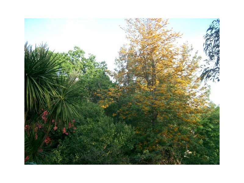 92 Keda Cct, North Richmond NSW 2754