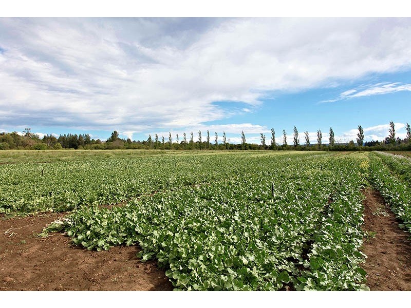 Lot 1 Old Kurrajong Road, Richmond NSW 2753