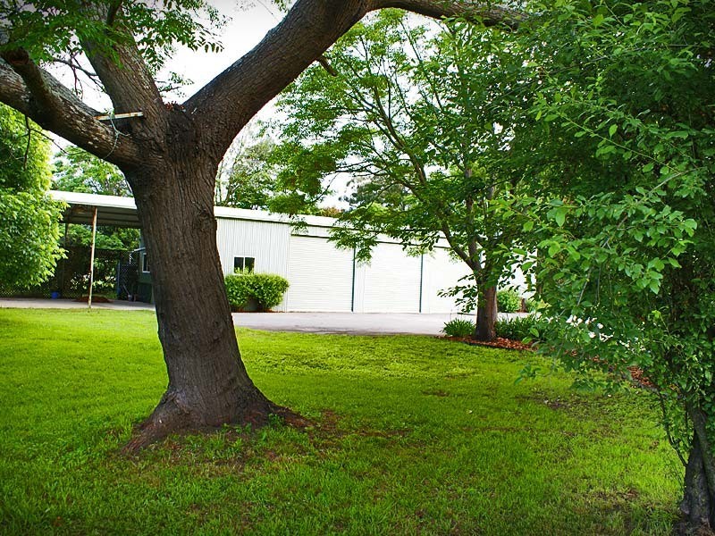 4 Kooringal Drive, Agnes Banks NSW 2753