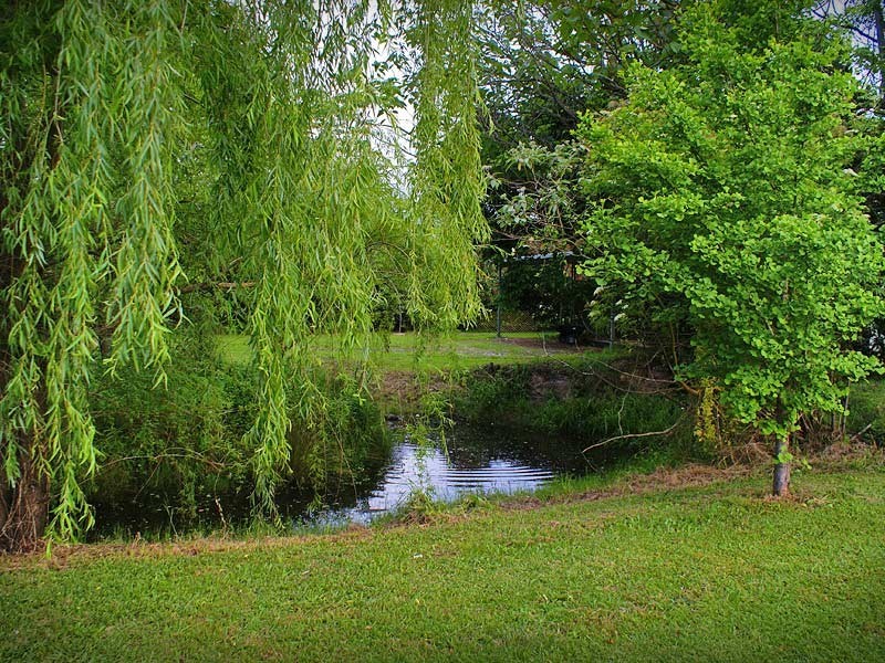 4 Kooringal Drive, Agnes Banks NSW 2753