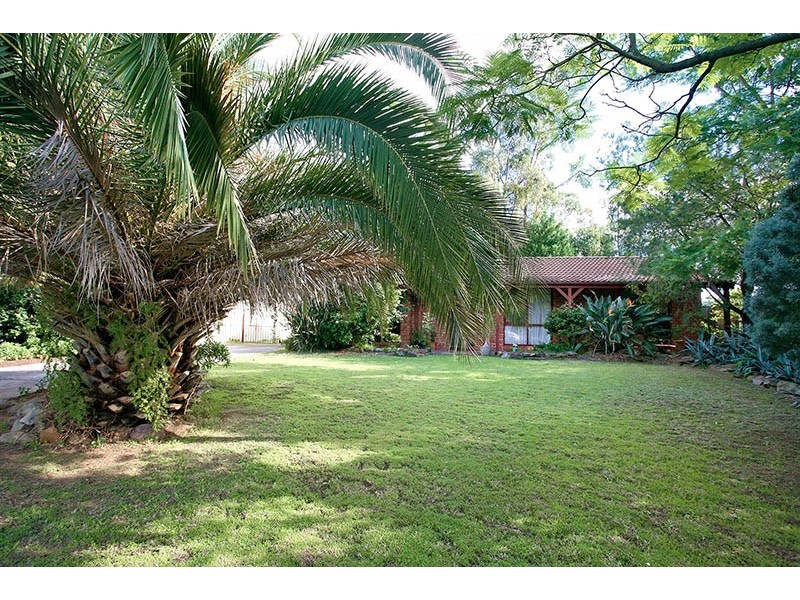 3 Borrowdale Place, Bligh Park NSW 2756