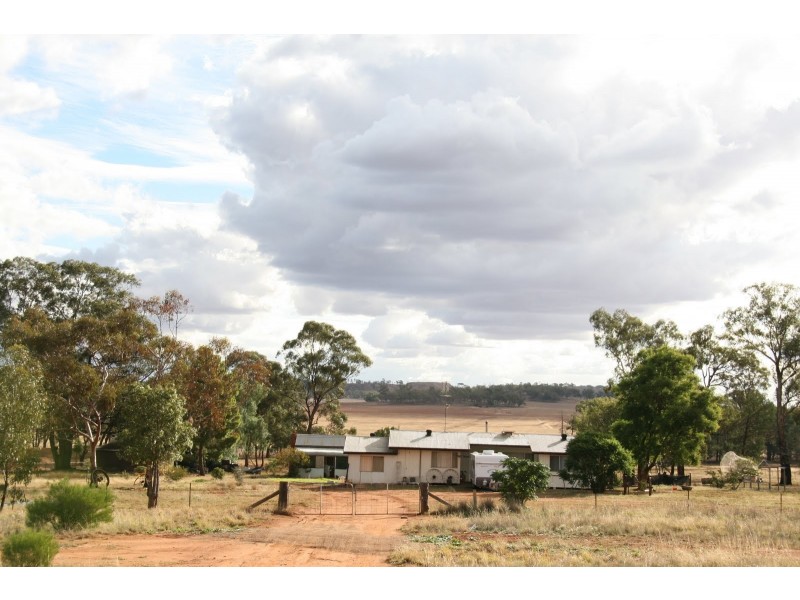 331 Bygoo Rd, Ardlethan NSW 2665