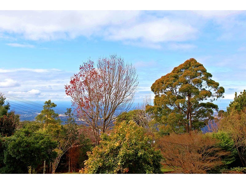 19 Dabbage Pl, Kurrajong Heights NSW 2758