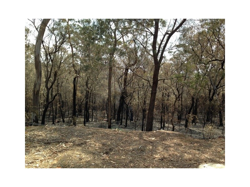 1 Laws Farm Rd, Lower Portland NSW 2756