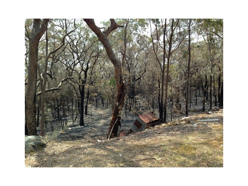 1 Laws Farm Rd, Lower Portland NSW 2756