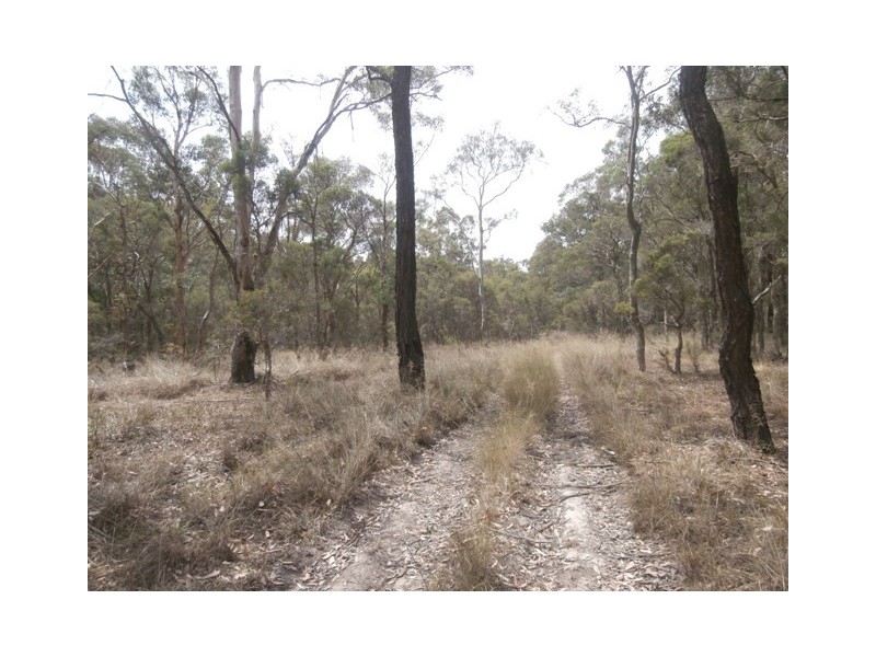 104 Rickards Rd, Agnes Banks NSW 2753