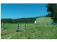 Lot 4 Putty Road, Putty NSW 2330