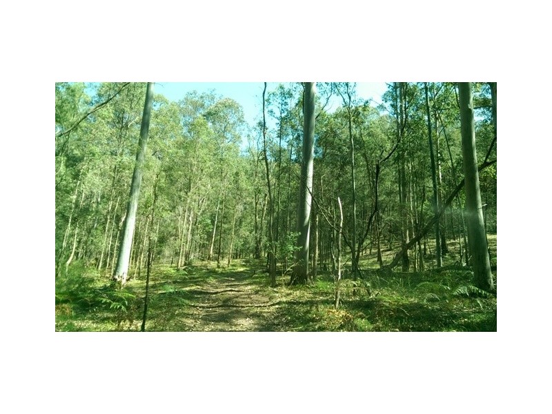 Lot 4 Putty Road, Putty NSW 2330