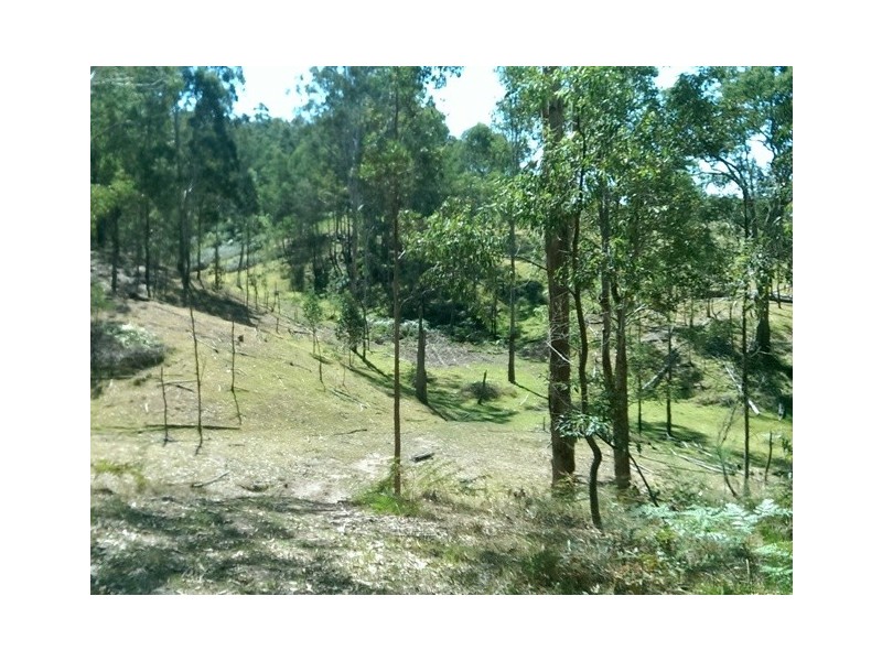 Lot 4 Putty Road, Putty NSW 2330