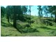 Lot 4 Putty Road, Putty NSW 2330